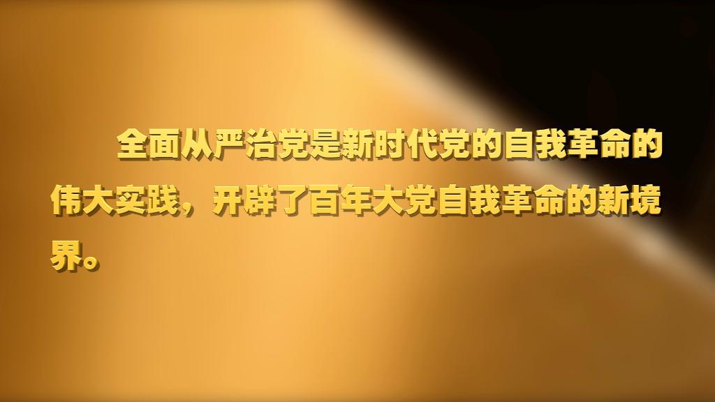 劃重點(diǎn)！十九屆中央紀(jì)委六次全會 習(xí)近平提出這些要求