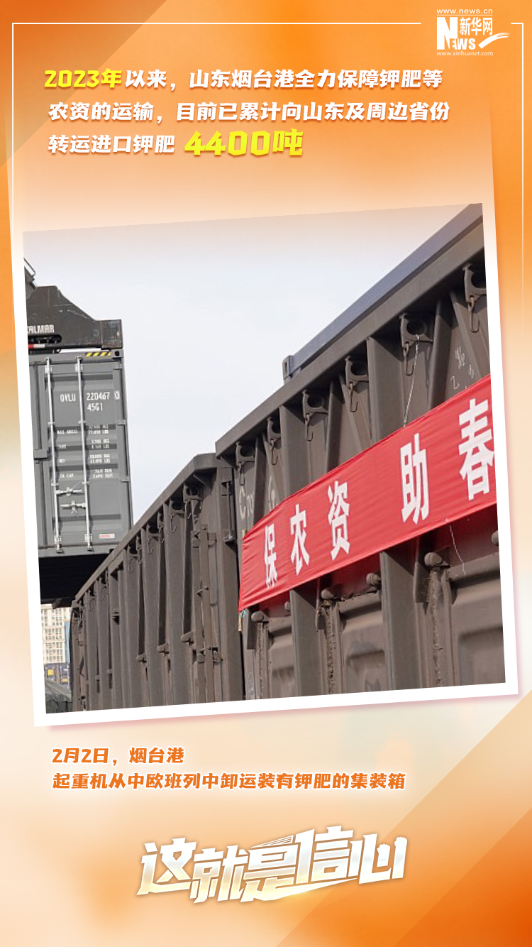 這就是信心｜實(shí)干爭(zhēng)春早，外貿(mào)樞紐貨運(yùn)忙