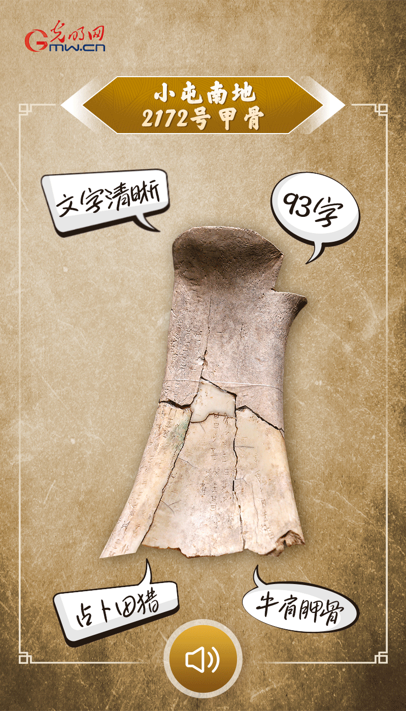 文物會(huì)說(shuō)話 | 殷墟博物館新館開(kāi)館啦，帶你奔赴“千年之約”