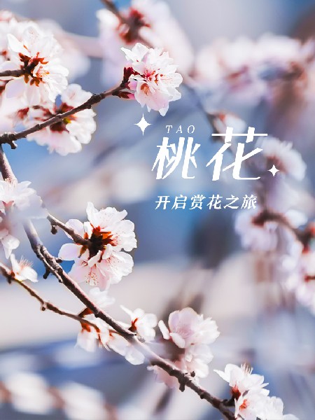 追花指南第三期！別等了 今天就去和桃花撞個滿懷