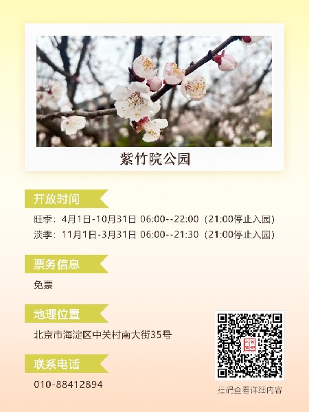 追花指南第六期！杏花雨 楊柳風(fēng) 北京最美的杏花在這里