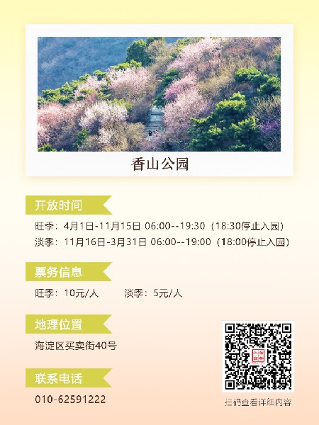 追花指南第六期！杏花雨 楊柳風(fēng) 北京最美的杏花在這里