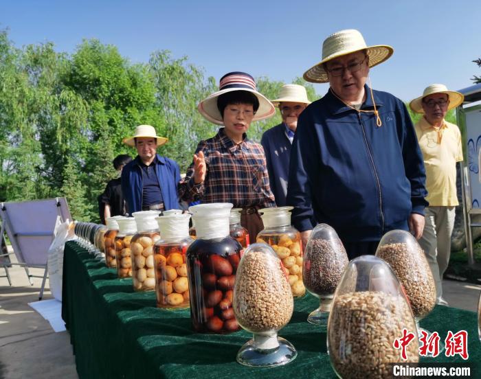 青海：利用冷涼氣候，打造高原綠色種業(yè)輸出地