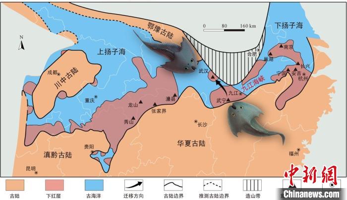 華南地區(qū)志留紀(jì)早期古地理圖和盔甲魚類化石產(chǎn)地(山顯任改自陳旭、戎嘉余，1996；戎嘉余等，2012) 中科院古脊椎所 供圖