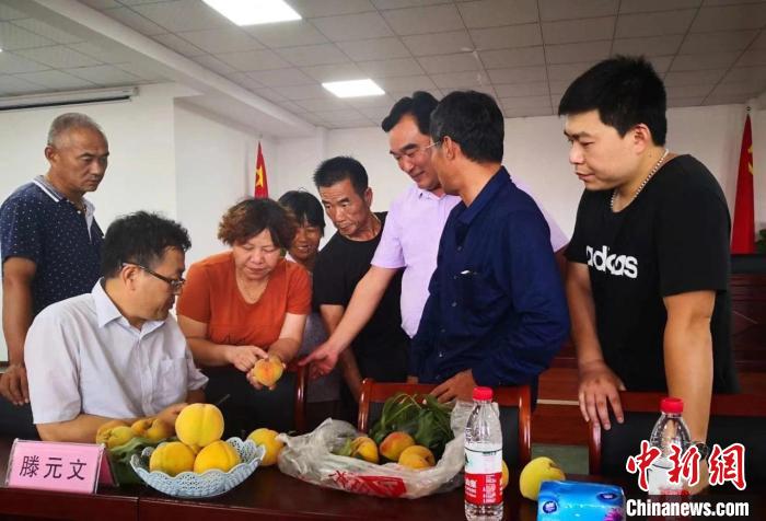 民進浙江省委會為三里橋黃桃種植戶送技術(shù)、送指導。　嘉善統(tǒng)戰(zhàn) 供圖