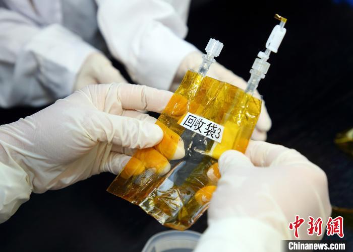 隨神舟十五號(hào)返回地面的空間科學(xué)實(shí)驗(yàn)樣品。　中科院空間應(yīng)用中心 供圖