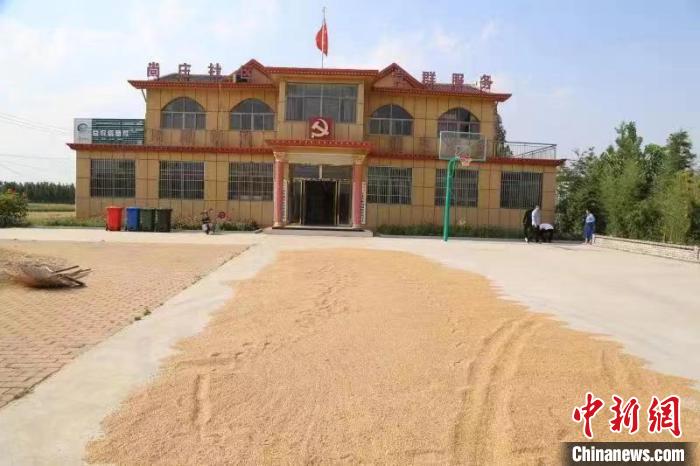 農(nóng)民在邳莊鎮(zhèn)尚莊村黨群服務(wù)中心大院里曬糧?！≠Z萌 攝