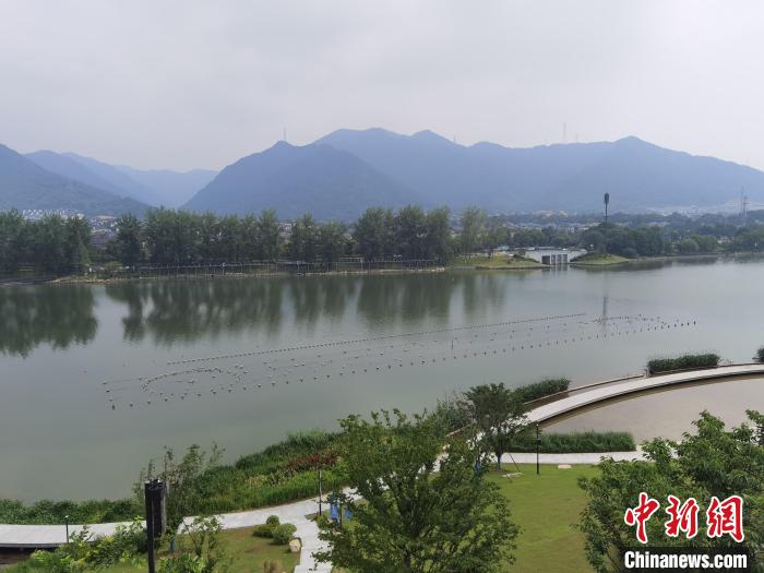 兩岸媒體共探杭州亞運(yùn)會(huì)“綠”在何處？