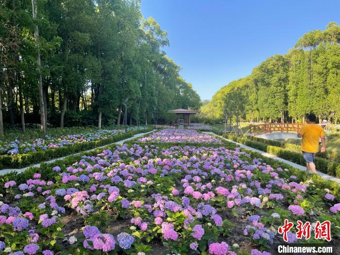 納民意、匯民智上海努力讓“公園城市”建設真正“合民心”