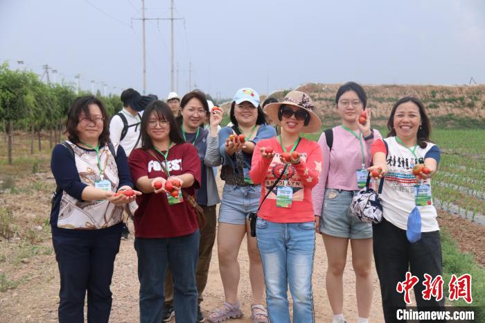 圖為臺胞體驗大美內(nèi)蒙古?！⊥袐I供圖