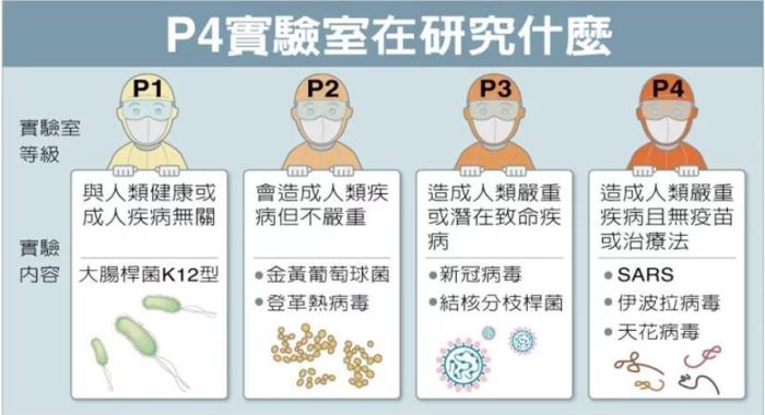 P4實(shí)驗(yàn)室在研究什么。臺(tái)灣聯(lián)合新聞網(wǎng)資料圖