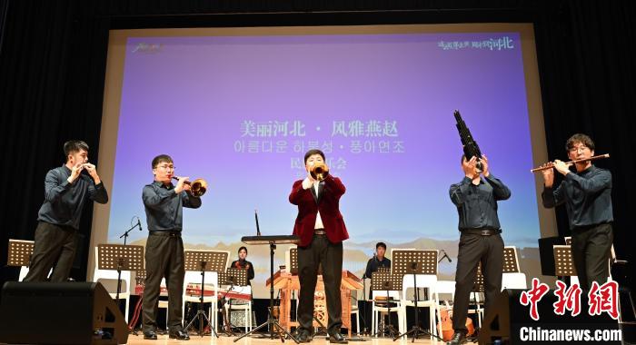 圖為音樂(lè)會(huì)現(xiàn)場(chǎng)?！∈谞栔袊?guó)文化中心供圖