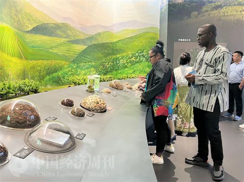   （在中國藥都中醫(yī)藥博物館，外媒記者了解中醫(yī)藥發(fā)展史。中國經(jīng)濟(jì)周刊記者 郭志強(qiáng) 攝）