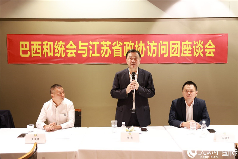 江蘇省政協(xié)副主席楊岳（中）在座談會上致辭。人民網(wǎng)記者 陳海琪攝