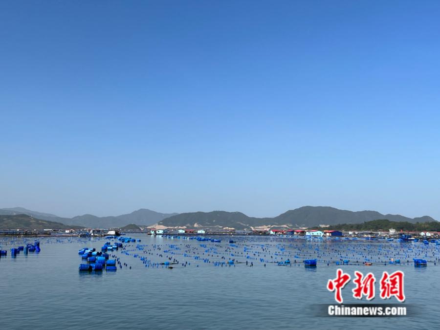 霞浦縣海上魚排。<a target='_blank' href='/' ><p  align=