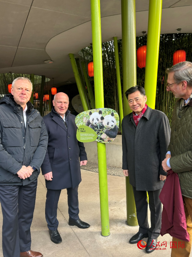 中國(guó)駐德國(guó)大使吳懇（右二）、柏林市長(zhǎng)韋格納（左二）、動(dòng)物園園長(zhǎng)克尼里姆（右一）和監(jiān)事會(huì)主席布魯克曼（左一）共同為“夢(mèng)想”“夢(mèng)圓”大熊貓紀(jì)念牌揭幕。人民網(wǎng)記者 徐馨攝