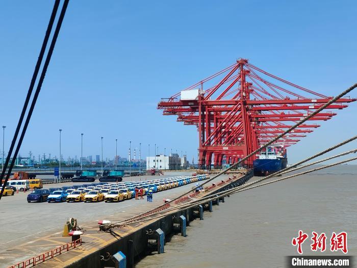 資料圖：國產(chǎn)新能源車在上海外高橋港區(qū)海通碼頭“整裝待發(fā)”?！∑址?攝