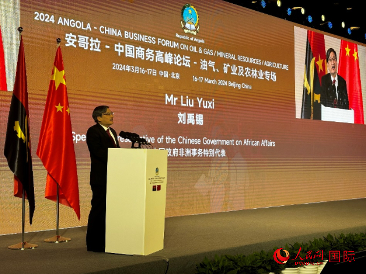 中國政府非洲事務(wù)特別代表劉禹錫。人民網(wǎng)記者 張榮攝