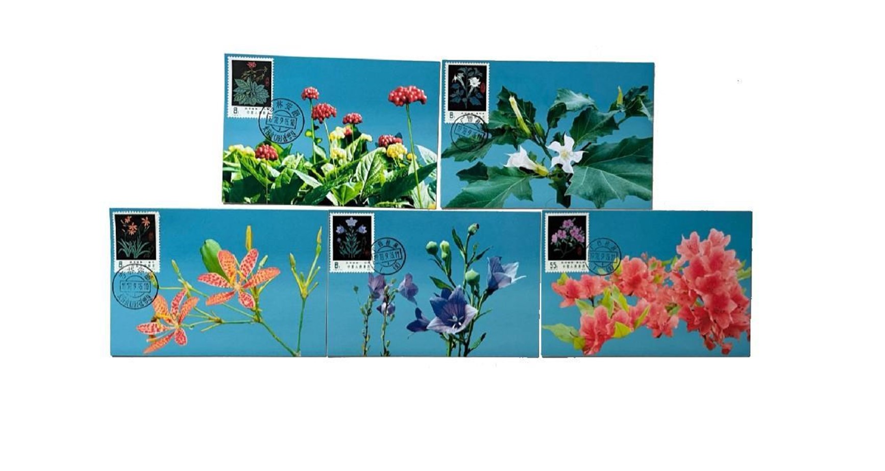 首套藥用植物極限片。第七屆阿聯(lián)酋集郵展主辦方供圖