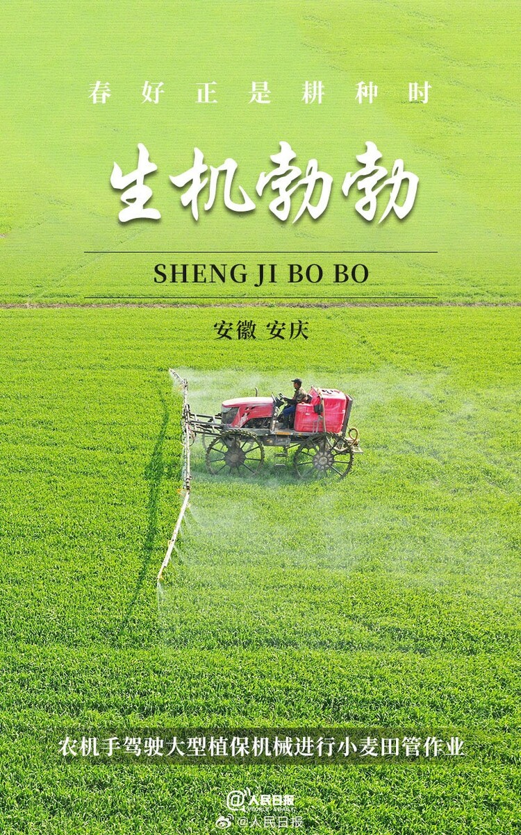 生機(jī)盎然！用課本封面打開春耕畫卷
