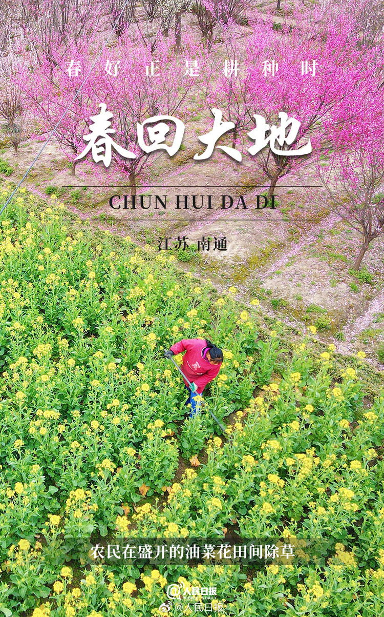 生機(jī)盎然！用課本封面打開春耕畫卷