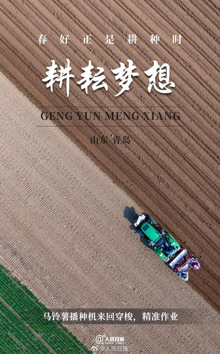生機(jī)盎然！用課本封面打開春耕畫卷