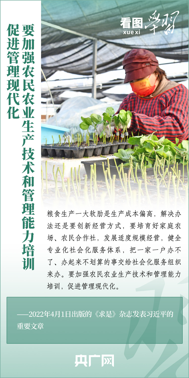看圖學(xué)習(xí)丨推廣良田、良種、良法、良機(jī) 給農(nóng)業(yè)現(xiàn)代化插上科技的翅膀