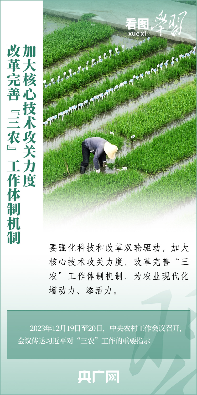 看圖學(xué)習(xí)丨推廣良田、良種、良法、良機(jī) 給農(nóng)業(yè)現(xiàn)代化插上科技的翅膀