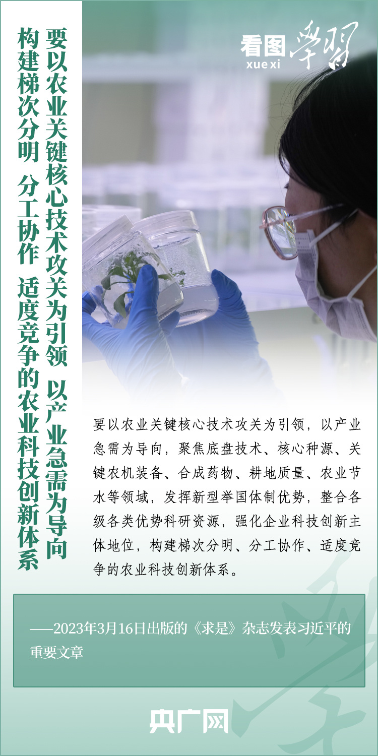 看圖學(xué)習(xí)丨推廣良田、良種、良法、良機(jī) 給農(nóng)業(yè)現(xiàn)代化插上科技的翅膀