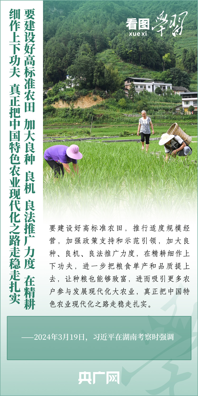 看圖學(xué)習(xí)丨推廣良田、良種、良法、良機(jī) 給農(nóng)業(yè)現(xiàn)代化插上科技的翅膀