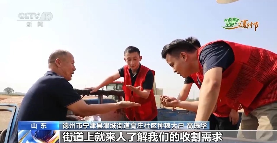 “三夏”生產(chǎn)思維導(dǎo)圖安排上了！還有政府大院等你來“曬”