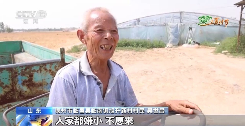 “三夏”生產(chǎn)思維導(dǎo)圖安排上了！還有政府大院等你來“曬”