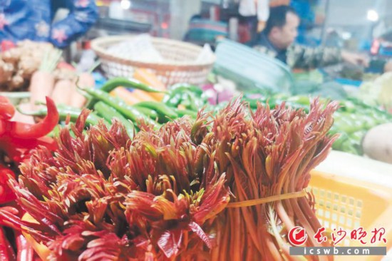 　　農(nóng)貿(mào)市場里鮮嫩的香椿。　　均為長沙晚報(bào)全媒體記者 劉捷萍 攝