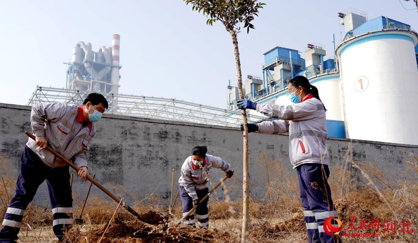 邢臺(tái)金隅職工在石邢公路沿線植樹(shù)。 宋繼昌攝