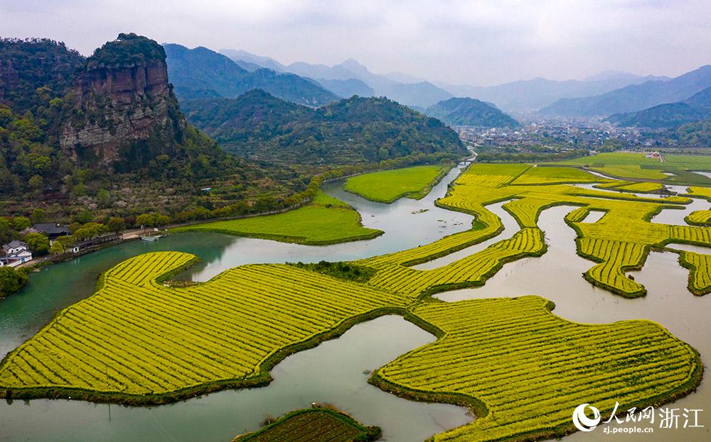3月28日，航拍浙江省臨海市桃渚鎮(zhèn)桃江十三渚盛開的油菜花景色。人民網(wǎng) 章勇濤攝