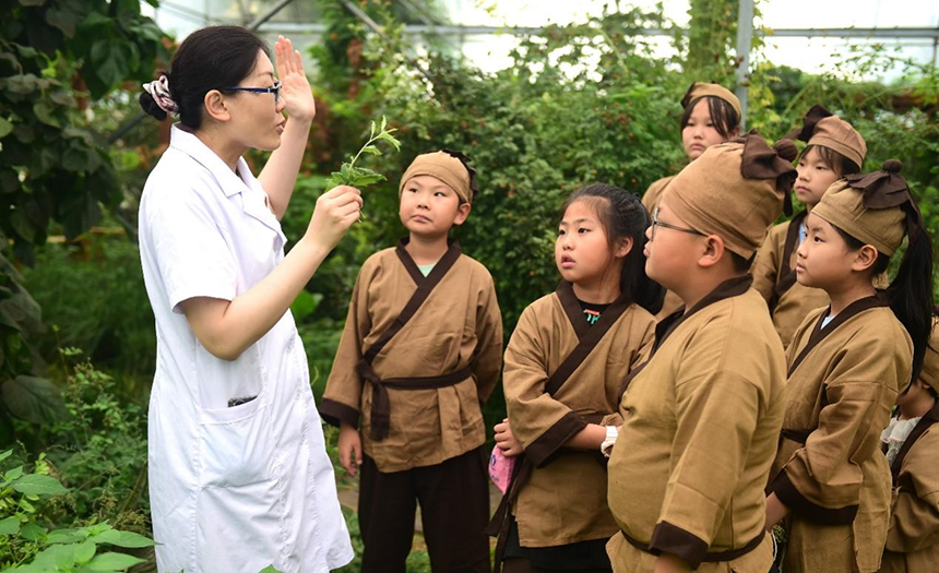 參加活動(dòng)的孩子聆聽(tīng)滄州市人民醫(yī)院國(guó)醫(yī)館中醫(yī)對(duì)中藥材的講解。 傅新春攝