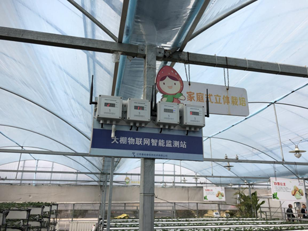 都市四季果園內(nèi)的物聯(lián)網(wǎng)智能監(jiān)測站系統(tǒng)。東?？h委宣傳部供圖