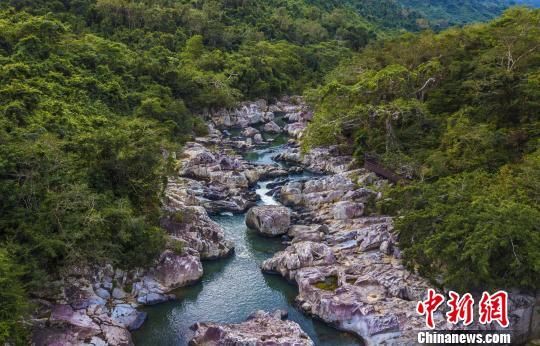 2018年海南生態(tài)環(huán)境狀況等級(jí)為“優(yōu)”，植被覆蓋率高，生物多樣性豐富，生態(tài)系統(tǒng)穩(wěn)定，圖為海南中部熱帶雨林。　駱云飛　攝