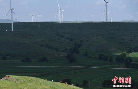 6月28日，河北張家口張北草原上大片風(fēng)力發(fā)電的“風(fēng)車”規(guī)模宏大。 中新社記者 楊艷敏 攝