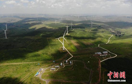 6月28日，河北張家口張北草原上大片風(fēng)力發(fā)電的“風(fēng)車”規(guī)模宏大。 中新社記者 楊艷敏 攝