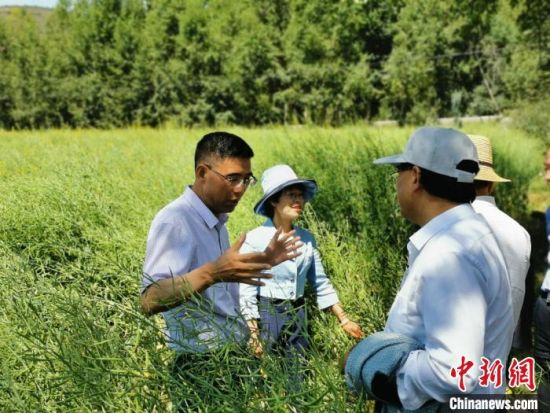 圖為九三學(xué)社青海省委主委杜德志(左一)在基層調(diào)研。受訪者供圖