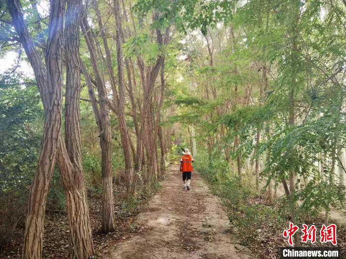 戈壁灘上的護(hù)林員：以前風(fēng)吹睜不開眼，現(xiàn)在滿眼皆綠色