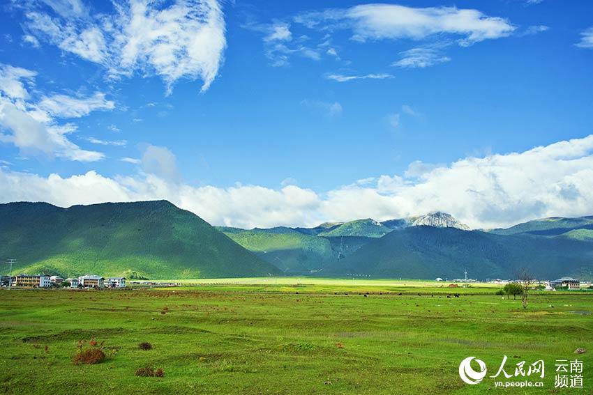 納帕海濕地風(fēng)景。呂昊辰攝