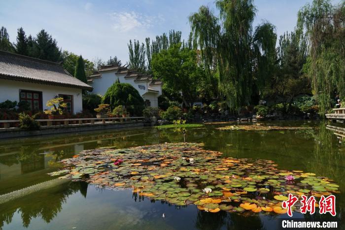 圖為西寧園林植物園秋日風(fēng)景別有韻味?！●R銘言 攝