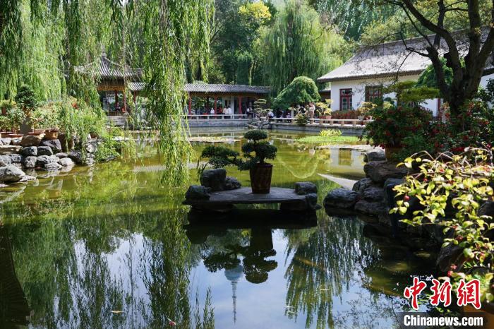 圖為西寧園林植物園秋日風(fēng)景別有韻味?！●R銘言 攝