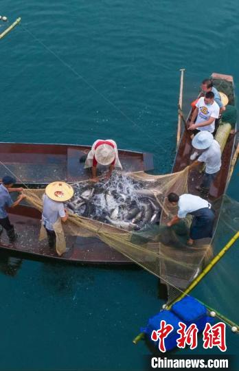 捕魚現(xiàn)場。　主辦方供圖