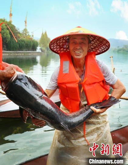 工作人員展示捕撈成果?！≈鬓k方供圖