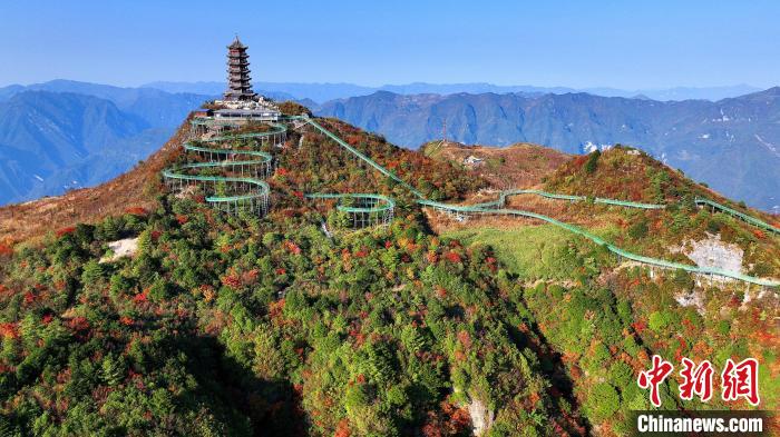 巴山大峽谷彩林迎來最佳觀賞期?！∫κ?攝