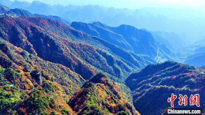 巴山大峽谷彩林迎來最佳觀賞期。　張平 攝