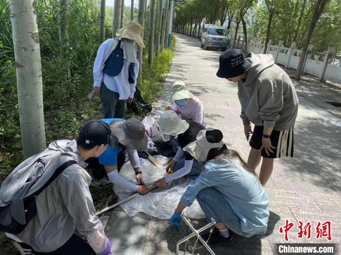 圖為科研人員正在進(jìn)行監(jiān)測。　西寧湟水國家濕地公園供圖